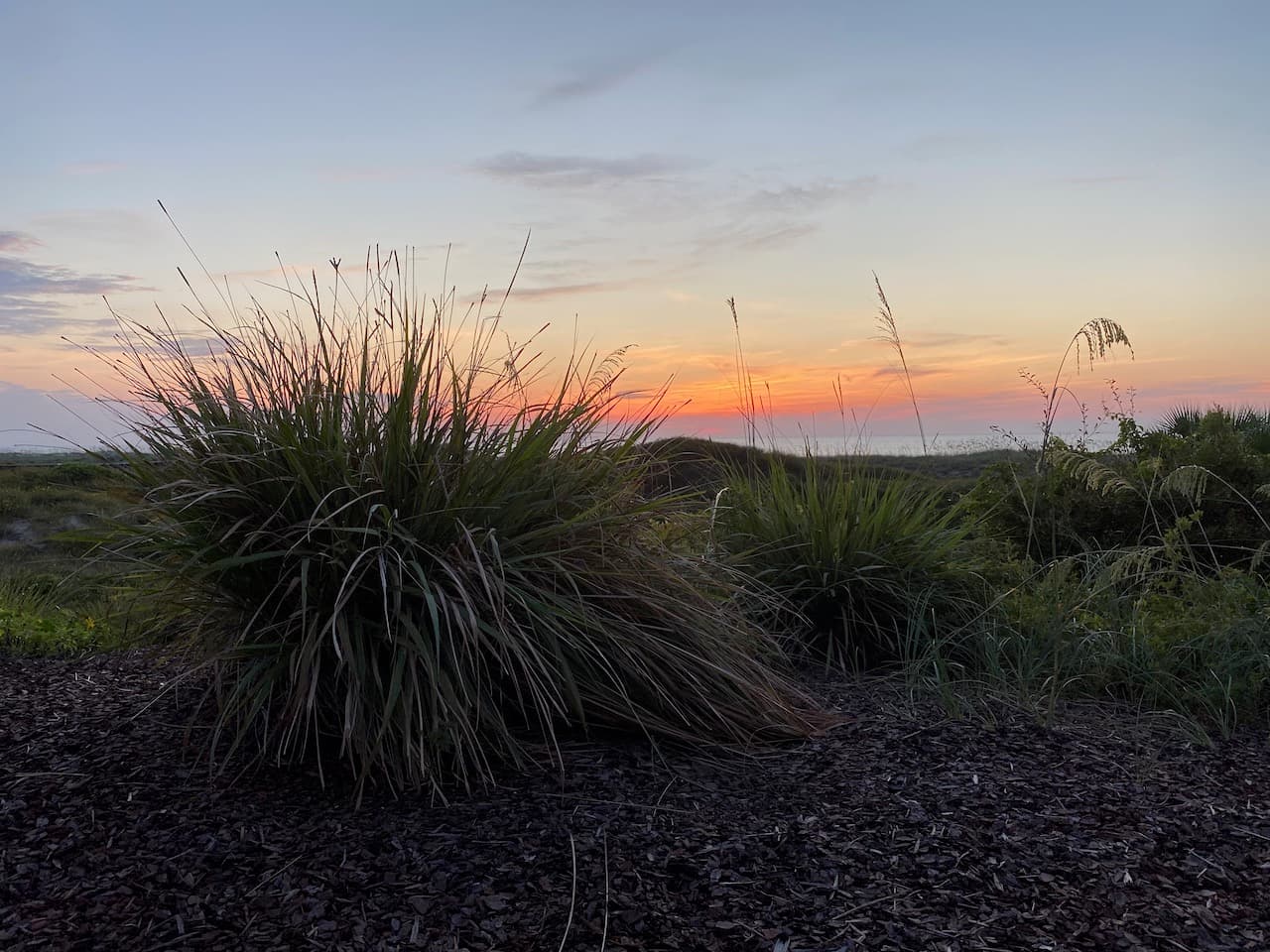 Amelia Island - July 13, 2020 at 6:27:44 AM